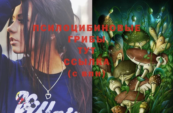 спайс Михайлов