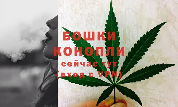спайс Михайлов